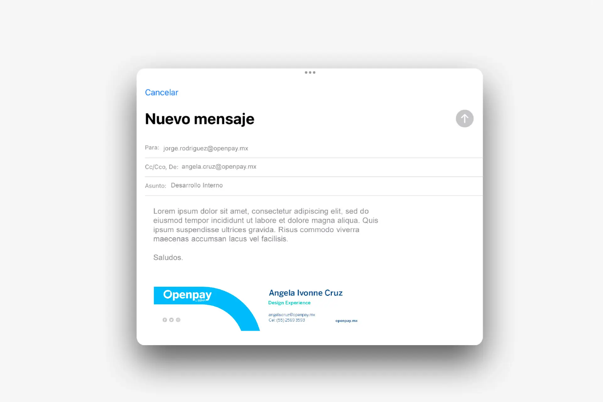 Openpay Rebranding - WebHex_Port_Disenio_Openpay_2_4.webp